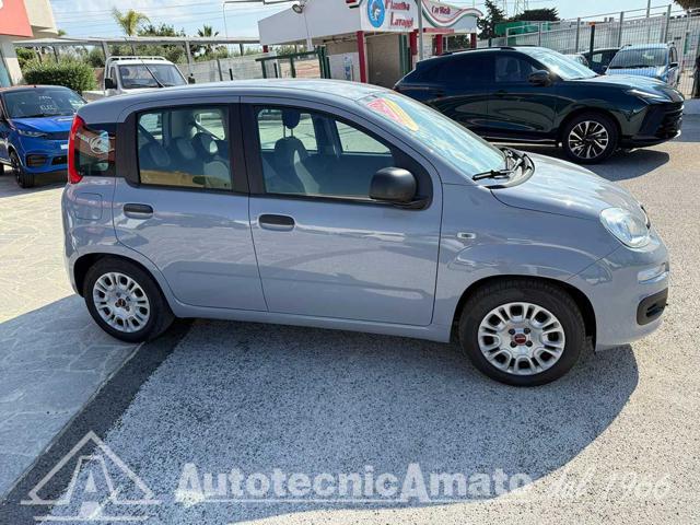 Fiat Panda 1.0 FireFly S&S Hybrid - foto 3 di 4