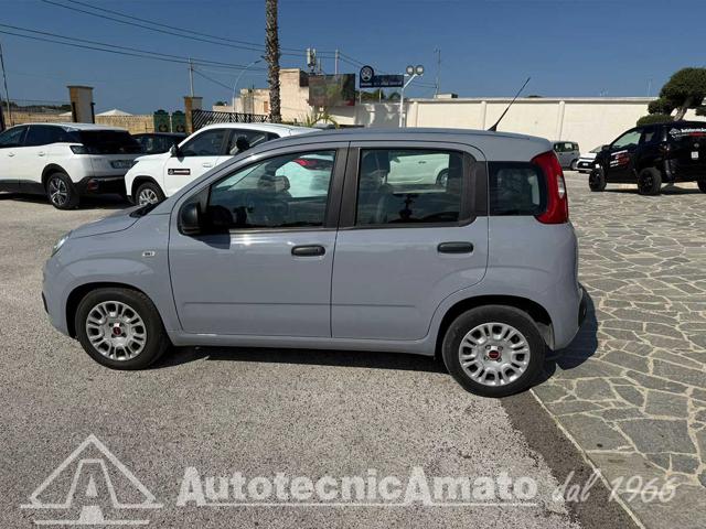 Fiat Panda 1.0 FireFly S&S Hybrid - foto 4 di 4