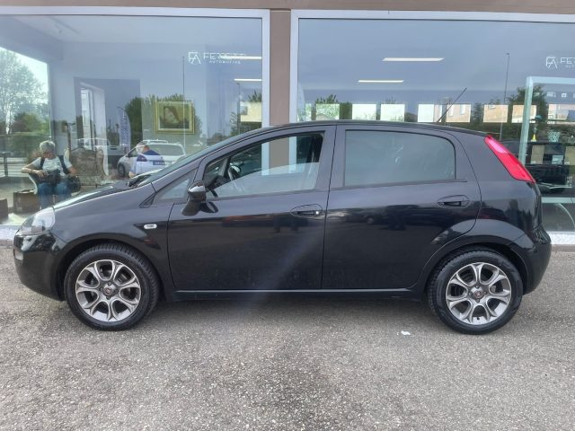 Fiat Punto 1.2 8V 5 porte Street usato a SCANDIANO