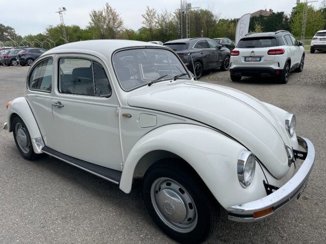Volkswagen Maggiolino 11 D 11 - foto 4 di 4