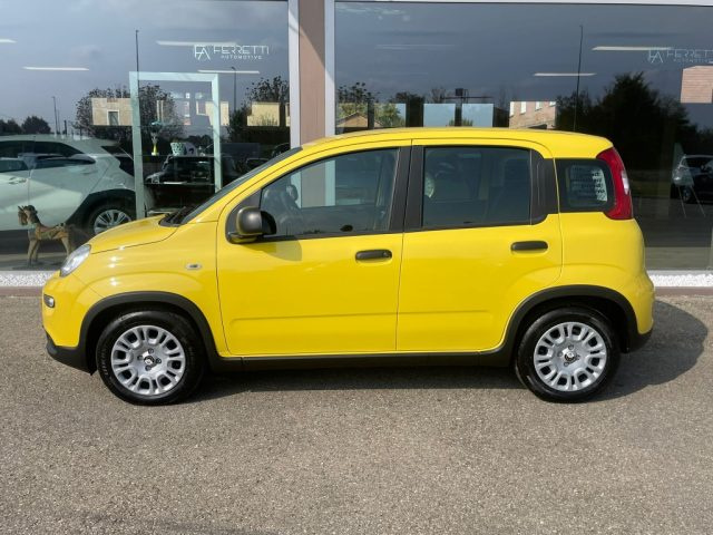 Fiat Panda 1.0 FireFly S&S Hybrid Pandina - foto 2 di 4