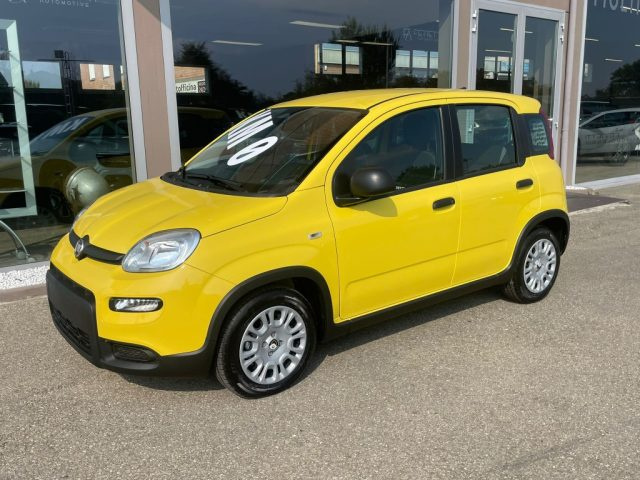 Fiat Panda 1.0 FireFly S&S Hybrid Pandina - foto 3 di 4
