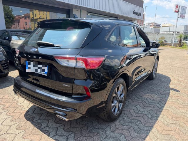 Ford Kuga 2.5 Full Hybrid 190 CV CVT 2WD ST-Line Design - foto 4 di 4