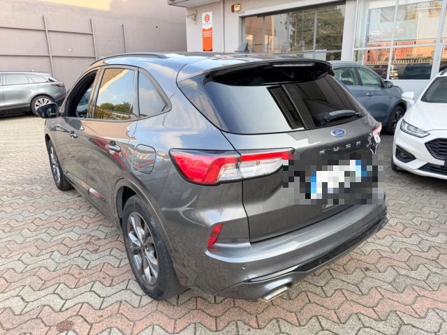 Ford Kuga 1.5 EcoBlue 120 CV aut. 2WD ST-Line - foto 4 di 4