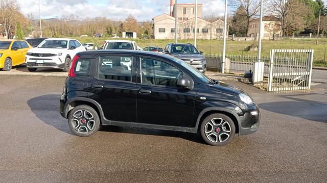 Fiat Panda *PROMO* 1.0 FireFly S&S Hybrid - foto 4 di 4