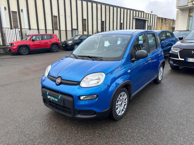 Fiat Panda *PROMO* 1.0 FireFly S&S Hybrid usato a BORGO SAN LORENZO