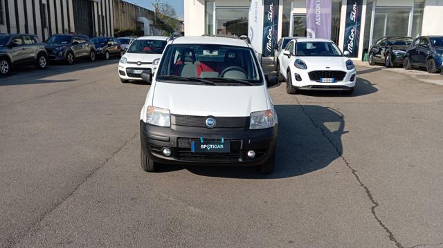 Fiat Panda 1.3 MJT 16V 4x4 usato a BORGO SAN LORENZO