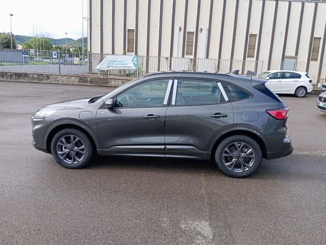 Ford Kuga *PROMO* 2.5 Plug In Hybrid 225 CV CVT 2WD ST-Line - foto 4 di 4