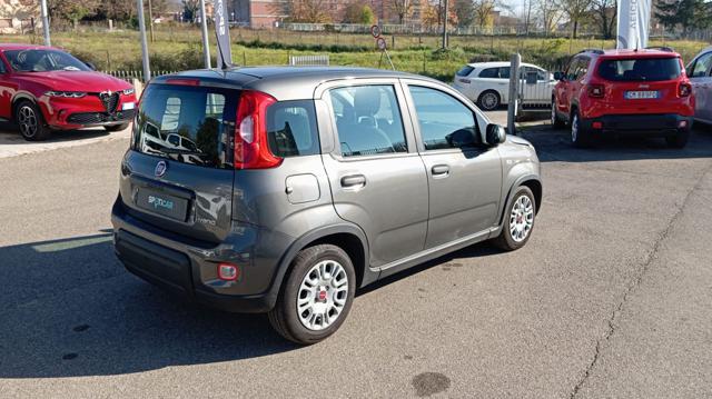 Fiat Panda *PROMO* 1.0 FireFly S&S Hybrid, del 2023, 26.126 km, in vendita a Borgo San Lorenzo (FI)
