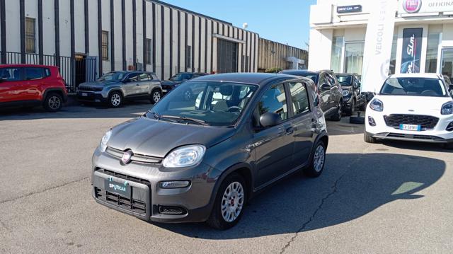 Fiat Panda *PROMO* 1.0 FireFly S&S Hybrid usato a BORGO SAN LORENZO