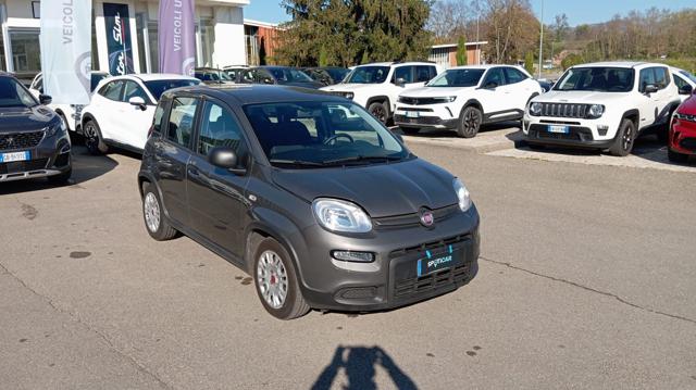 Fiat Panda *PROMO* 1.0 FireFly S&S Hybrid - foto 3 di 4