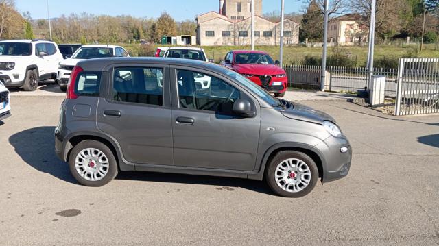 Fiat Panda *PROMO* 1.0 FireFly S&S Hybrid, del 2023, 26.126 km, in vendita a Borgo San Lorenzo (FI)