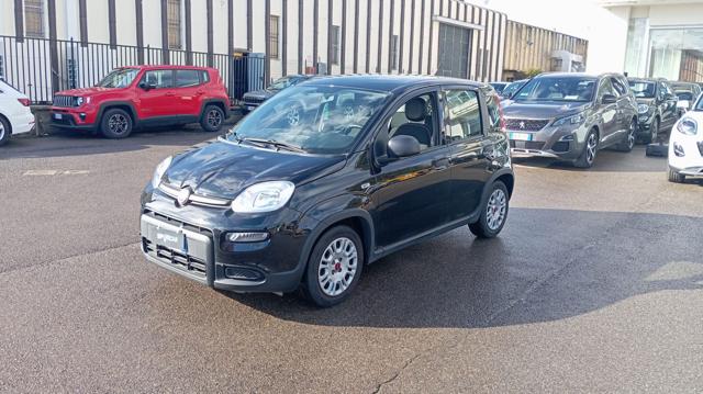 Fiat Panda *PROMO* 1.0 FireFly S&S Hybrid usato a BORGO SAN LORENZO