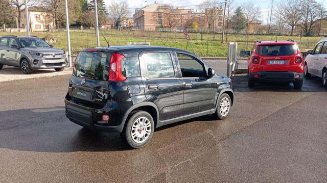 Fiat Panda *PROMO* 1.0 FireFly S&S Hybrid, del 2024, 17.091 km, in vendita a Borgo San Lorenzo (FI)