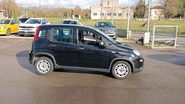 Fiat Panda *PROMO* 1.0 FireFly S&S Hybrid - foto 4 di 4