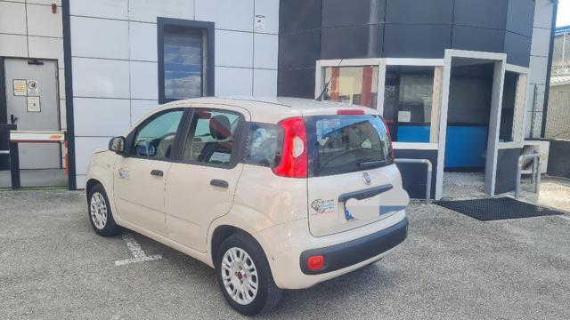 Fiat Panda 1.2 Easy usato a SCHIAVON