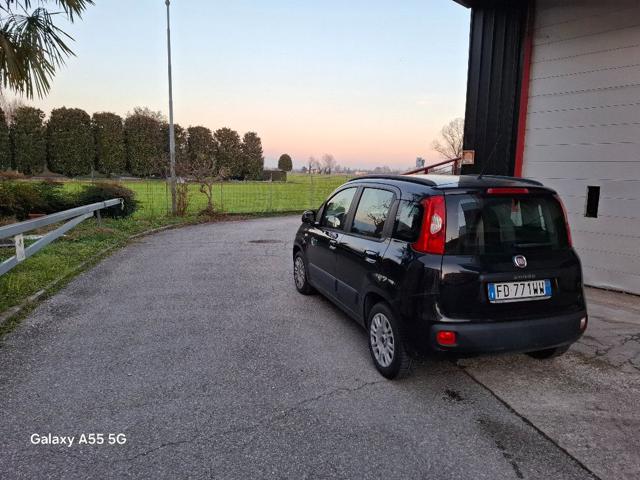 Fiat Panda 1.2 Lounge usato a SCHIAVON