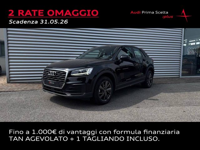 Audi Q2 30 TDI BUSINESS usato a CONEGLIANO