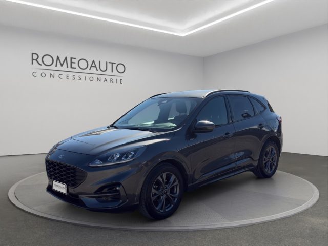 Ford Kuga 2.0 EcoBlue 120 CV aut. 2WD ST-Line usato a GUBBIO