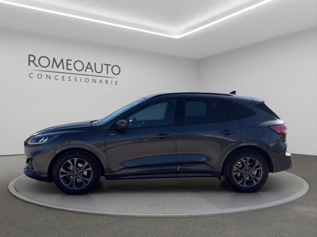 Ford Kuga 2.0 EcoBlue 120 CV aut. 2WD ST-Line usato a GUBBIO