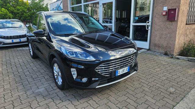 Ford Kuga 2.0 EcoBlue 150 CV aut. AWD Titanium Business usato a BOLZANO