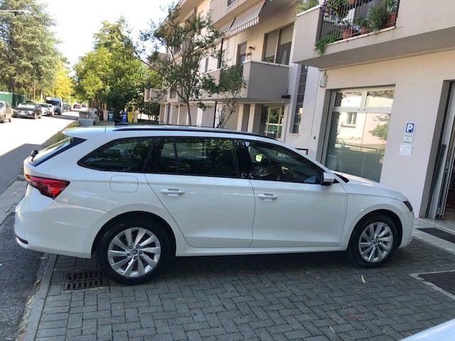 Skoda Octavia 2.0 TDI 116cv Wagon Executive nuovo a FORLì