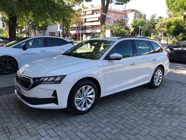 Skoda Octavia 2.0 TDI 116cv Wagon Executive nuovo a FORLì
