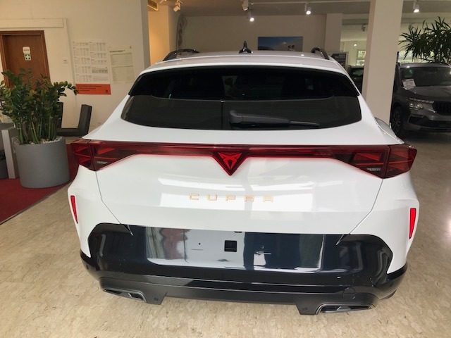 CUPRA Formentor 2.0 TDI DSG 150CV - foto 3 di 4
