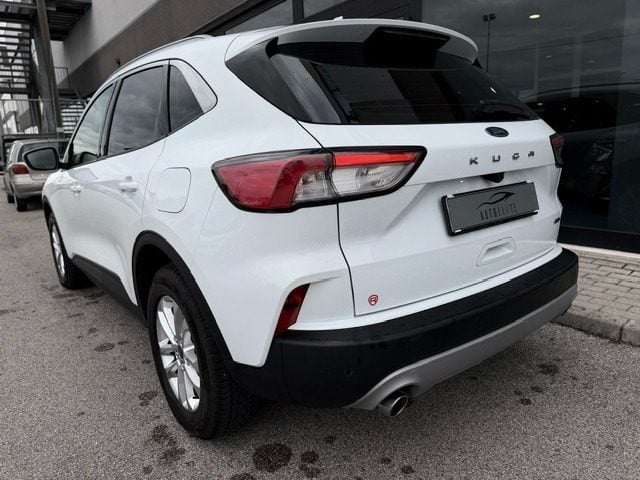 Ford Kuga 2.0 EcoBlue Hybrid 150 CV 2WD Titanium Business - foto 3 di 4