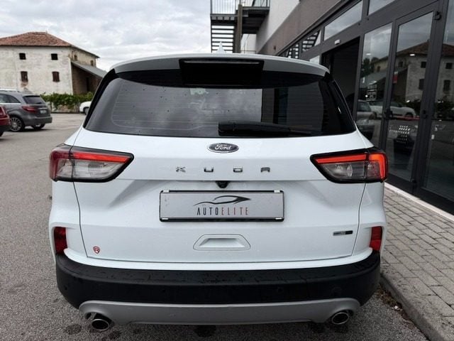 Ford Kuga 2.0 EcoBlue Hybrid 150 CV 2WD Titanium Business - foto 4 di 4