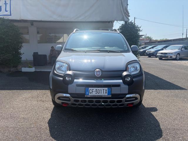 Fiat Panda Cross 1.0 FireFly S&S Hybrid usato a CARRARA