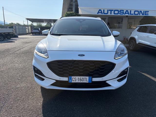 Ford Kuga 1.5 EcoBoost 150 CV 2WD ST-Line, del 2024, 27.128 km, in vendita a Carrara (MS)