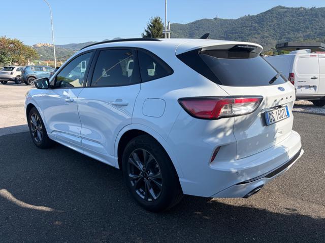 Ford Kuga 1.5 EcoBoost 150 CV 2WD ST-Line - foto 3 di 6