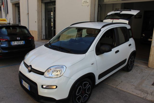 Fiat Panda 1.0 FireFly S&S Hybrid City Life usato a TRAPANI
