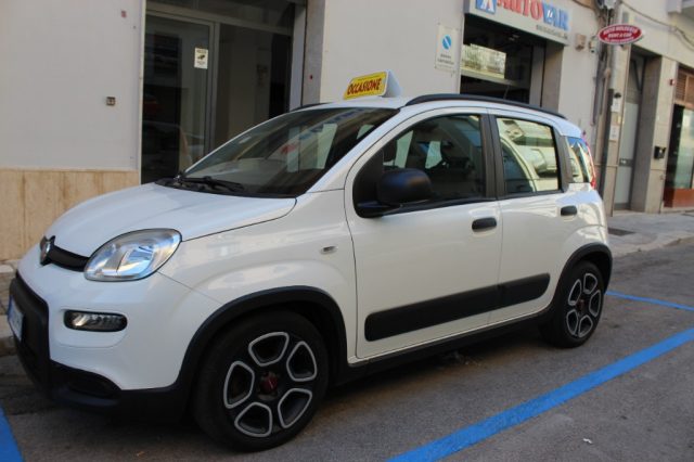 Fiat Panda 1.0 FireFly S&S Hybrid City Life usato a TRAPANI