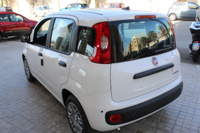 Fiat Panda 1.0 PANDINA Hybrid Icon-KM0 - foto 4 di 4