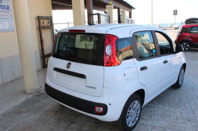 Fiat Panda 1.0 PANDINA Hybrid Icon -KMO - foto 4 di 4