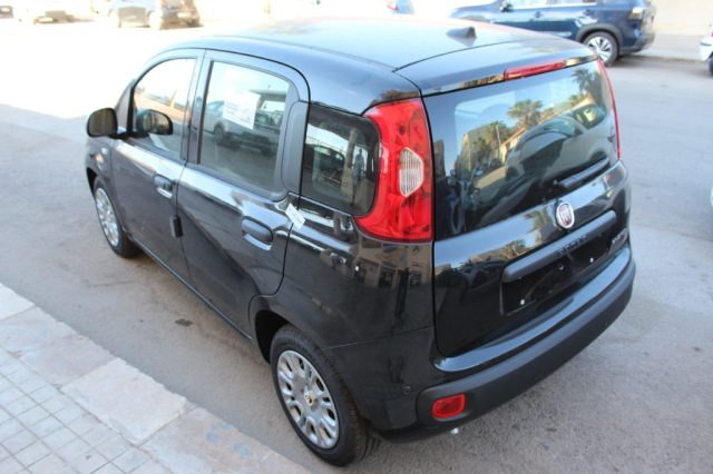 Fiat Panda 1.0 FireFly 65 CV Hybrid Icon-KM0 - foto 3 di 8