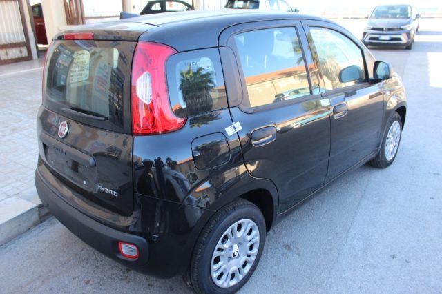 Fiat Panda 1.0 FireFly 65 CV Hybrid Icon-KM0 - foto 4 di 8