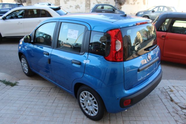 Fiat Panda 1.0 FireFly 65 CV Hybrid Icon-KM0 - foto 4 di 11