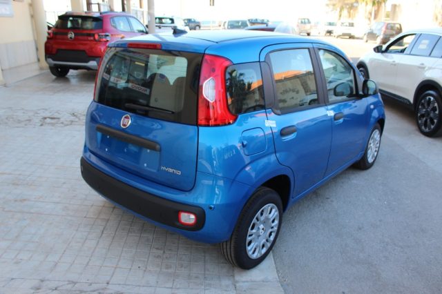 Fiat Panda 1.0 FireFly 65 CV Hybrid Icon-KM0 - foto 3 di 11