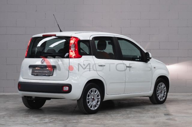 Fiat Panda 1.2 EASY 70 CV SOLO 21.300 KM PARI AL NUOVO - foto 4 di 4
