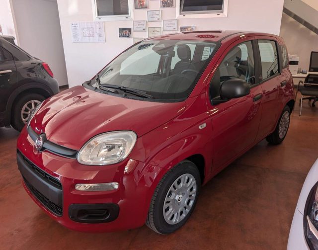 Fiat Panda 1.0 FireFly S&S Hybrid Pop km 0 a CORATO