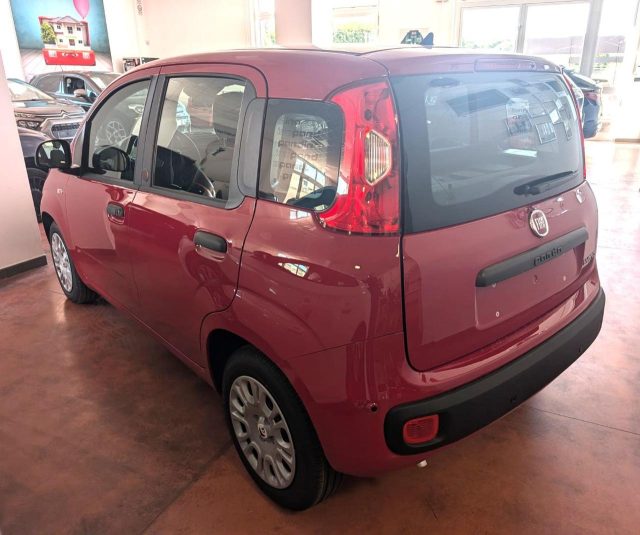 Fiat Panda 1.0 FireFly S&S Hybrid Pop - foto 3 di 4