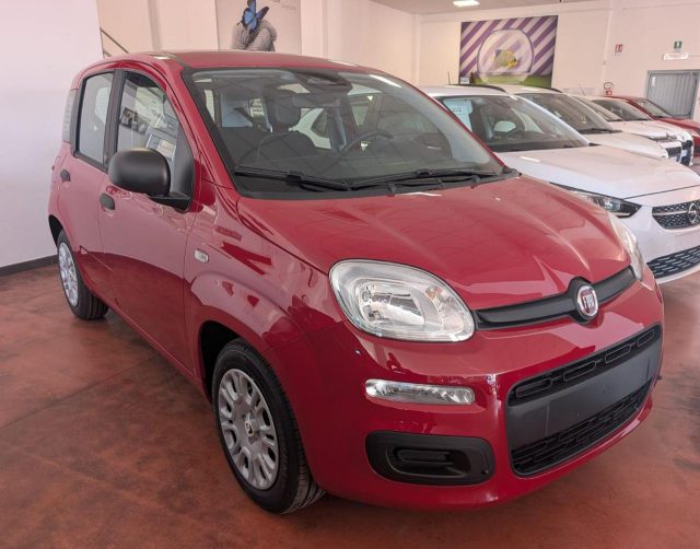 Fiat Panda 1.0 FireFly S&S Hybrid Pop - foto 2 di 4