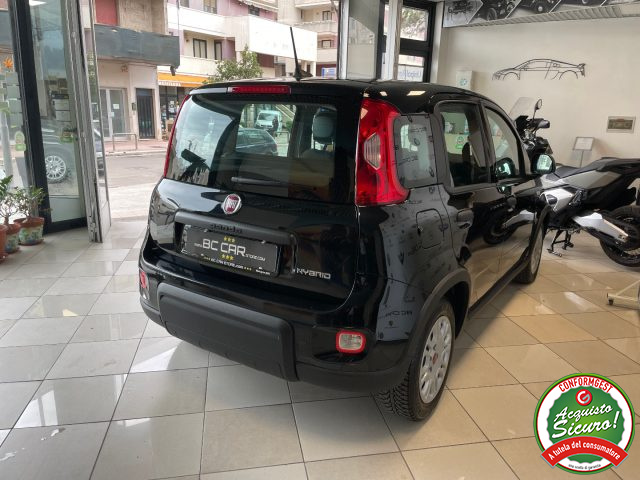 Fiat Panda 1.0 FireFly 70cv S&S Hybrid - foto 4 di 4