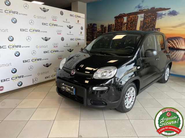 Fiat Panda 1.0 FireFly 70cv S&S Hybrid usato a MESAGNE