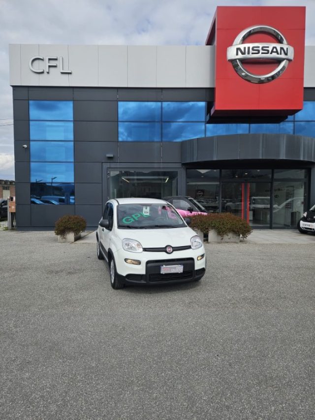 Fiat Panda 1.0 Hybrid usato a PONTETETTO