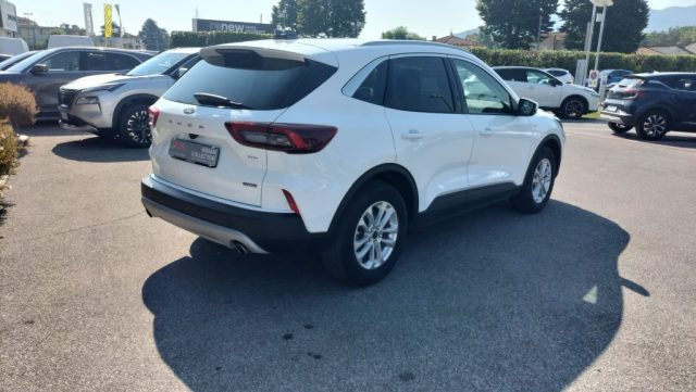 Ford Kuga Plug In Hybrid 243 CV CVT 2WD Titanium - foto 4 di 4