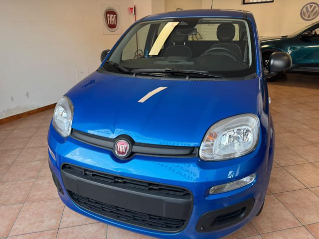 Fiat Pandina Pop, del 2026, in vendita a Asti (AT)